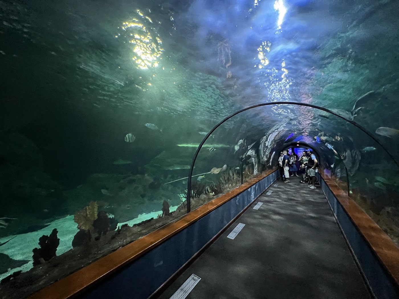 Canary Islands experiences